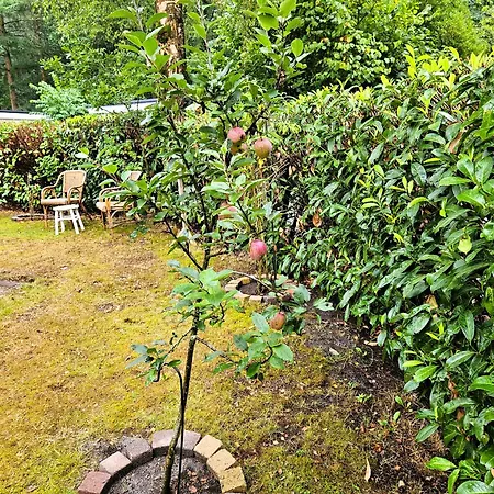 Het Veluwse Nest